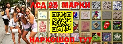 стаф Кандалакша