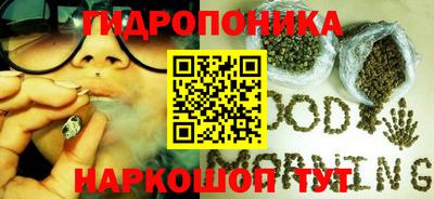 стаф Кандалакша